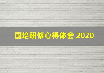 国培研修心得体会 2020